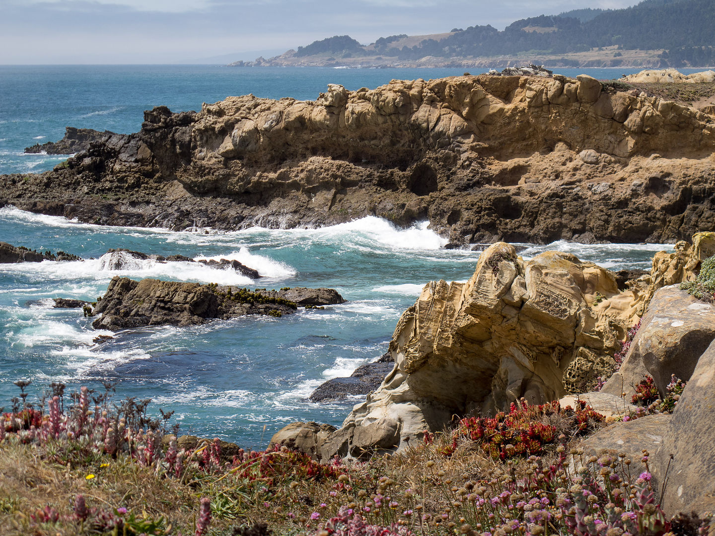 Salt Point State Park Surf