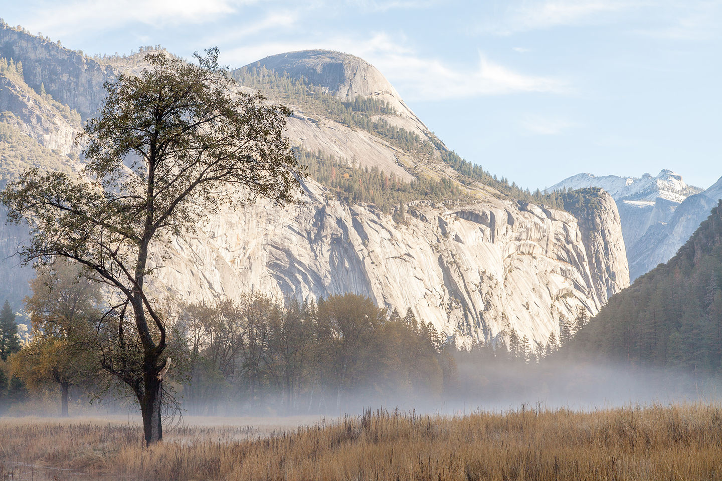 Valley Mist