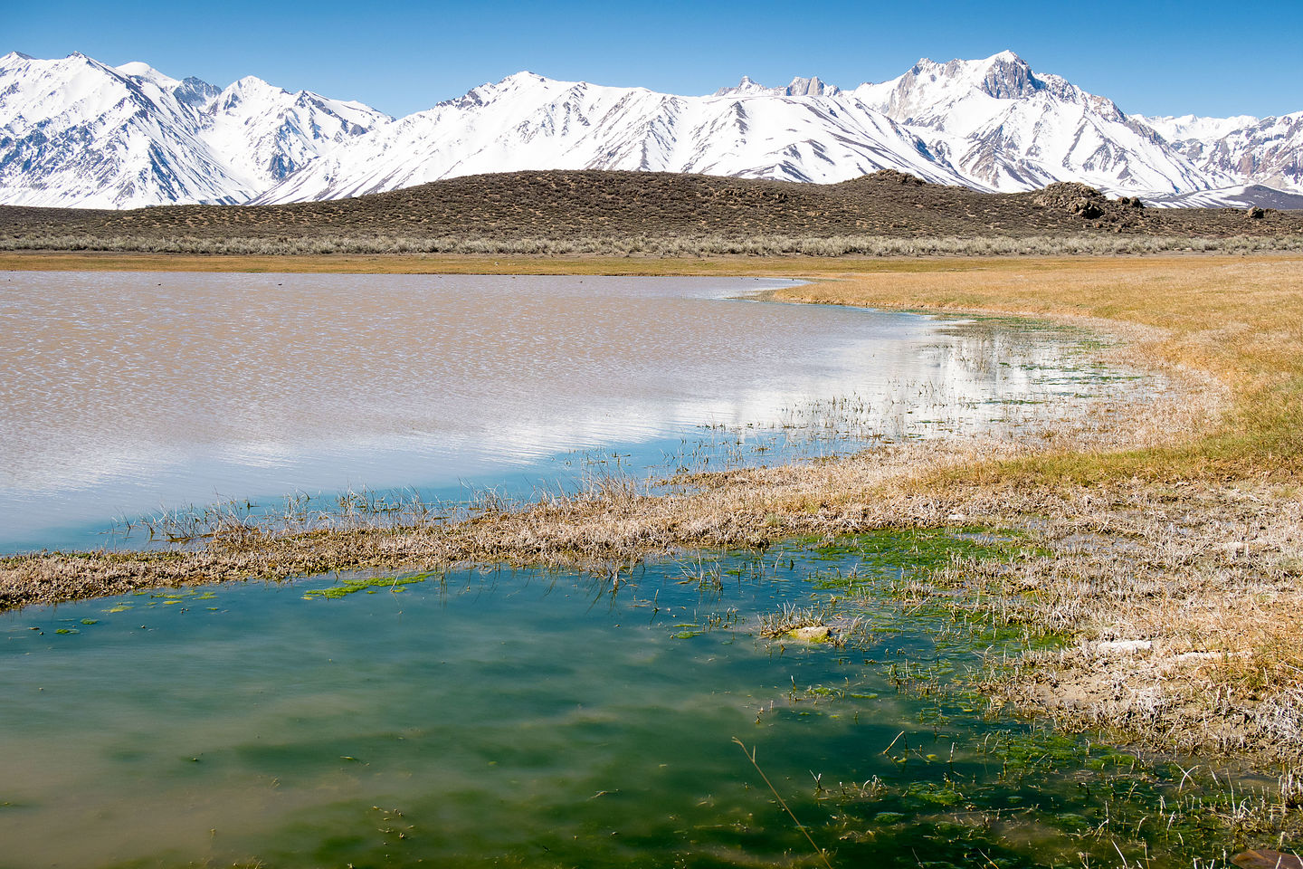 Long Valley Primitive Hot Springs