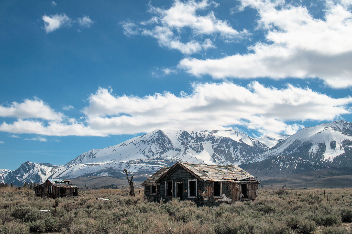 Along 395 near Mammoth Lakes