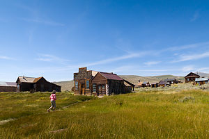 Lolo loose in Bodie