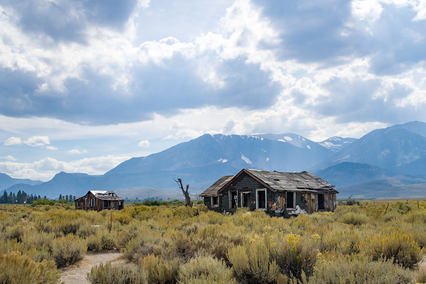 Along 395 south of Lee Vining