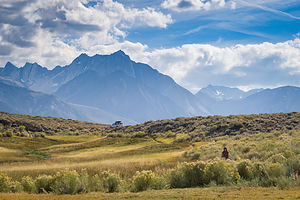 Lovely Long Valley