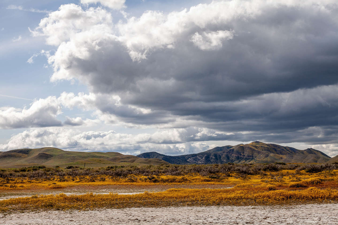 Carrizo Plains - Soda Lake salt flats