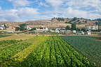 Walk through farm fields along the river path to Salamanca