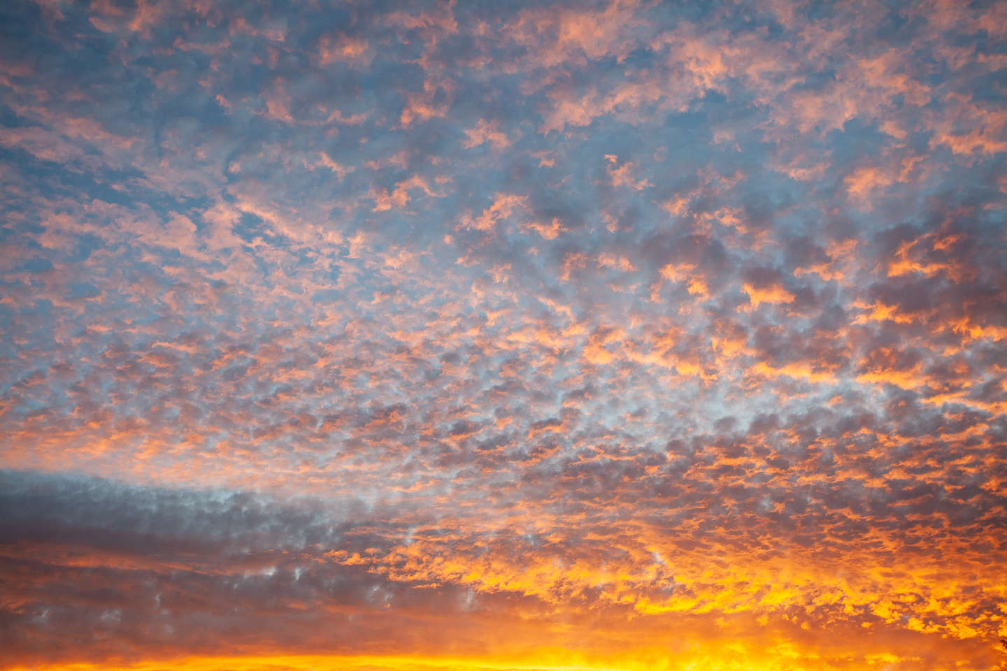 Sunset over Shasta Lake