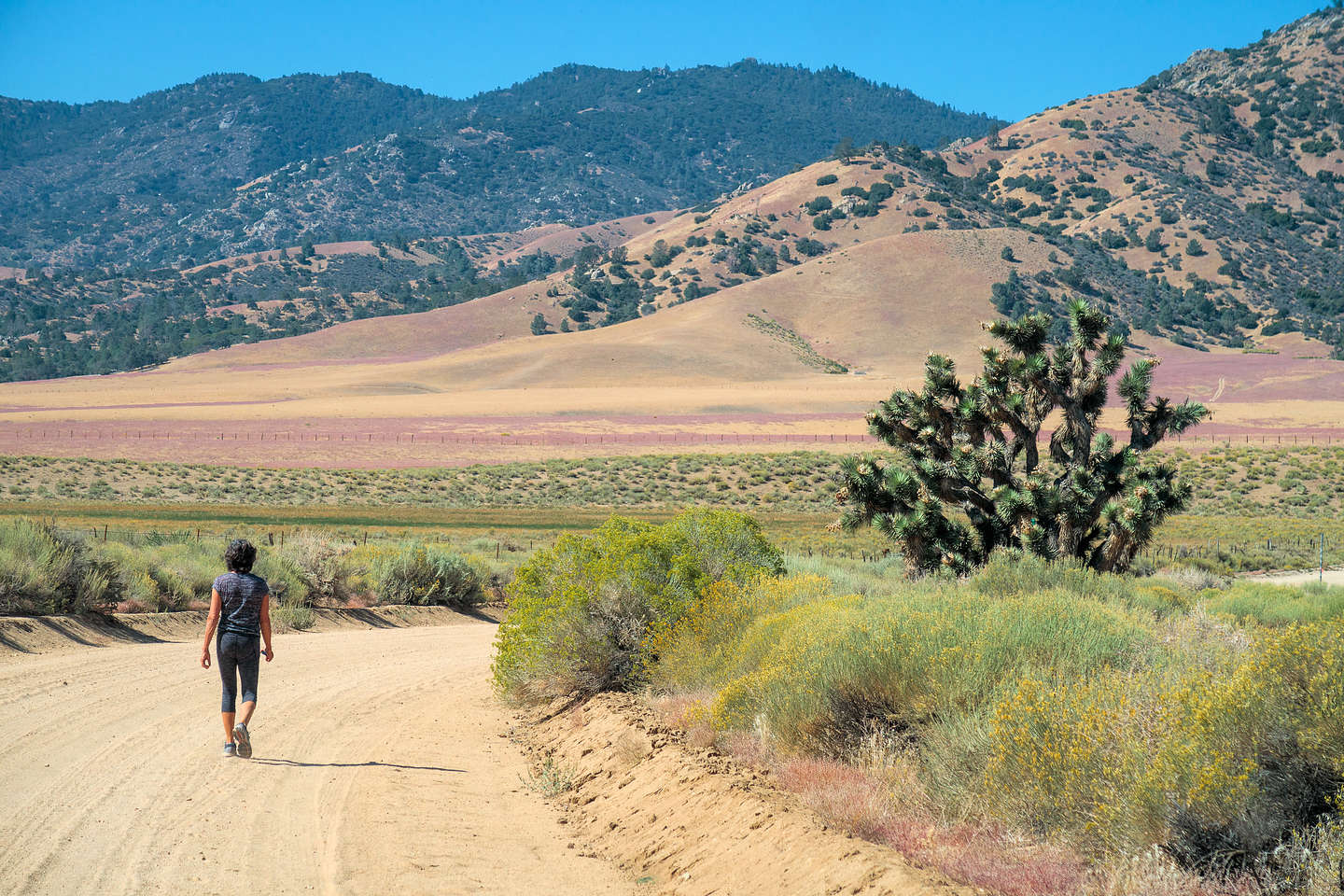 Pretty much out in the middle of nowhere on the Jawbone Canyon Road