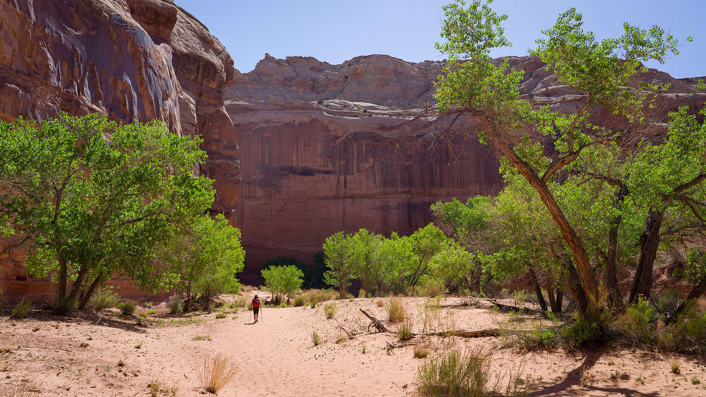 The hike out of Horseshoe Canyon