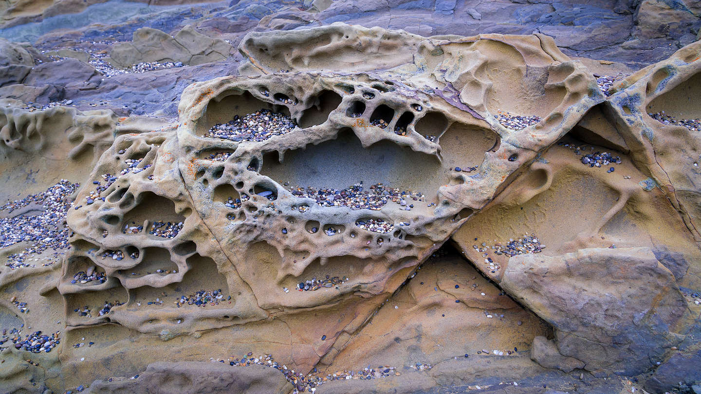 Tafoni on Pebble Beach