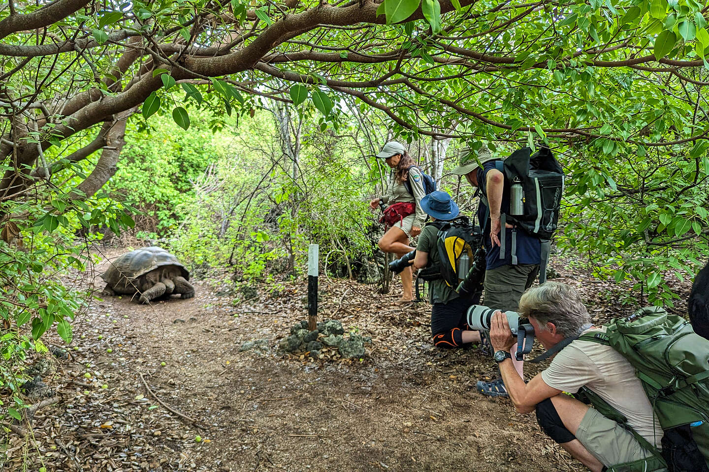 Our first Galapagos Giant Tortoise