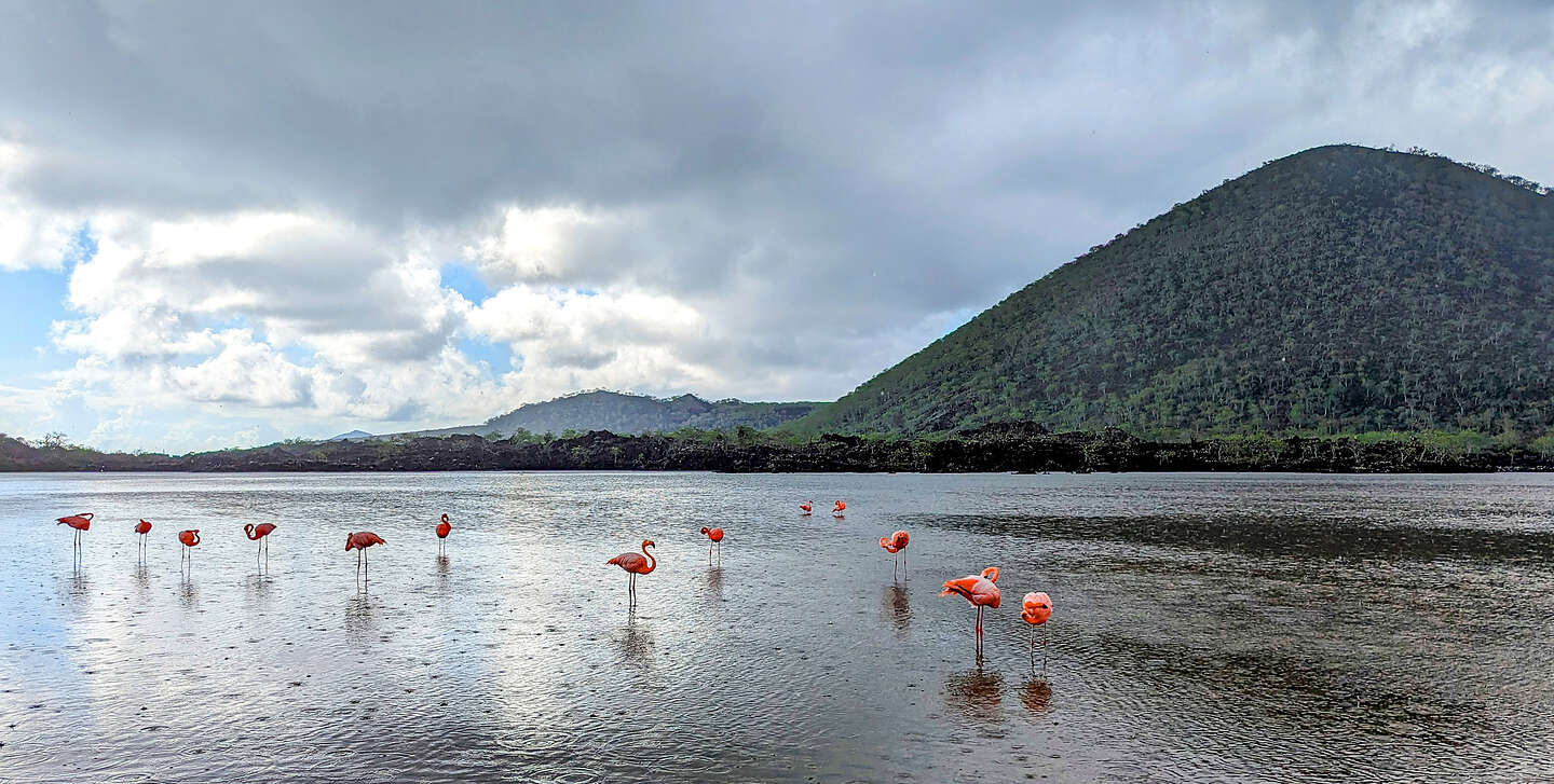 Back to the Salt Lagoon