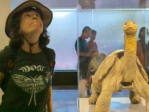 Lolo and Lonesome George