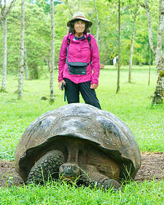 Rancho Primicias Giant Tortoise Reserve