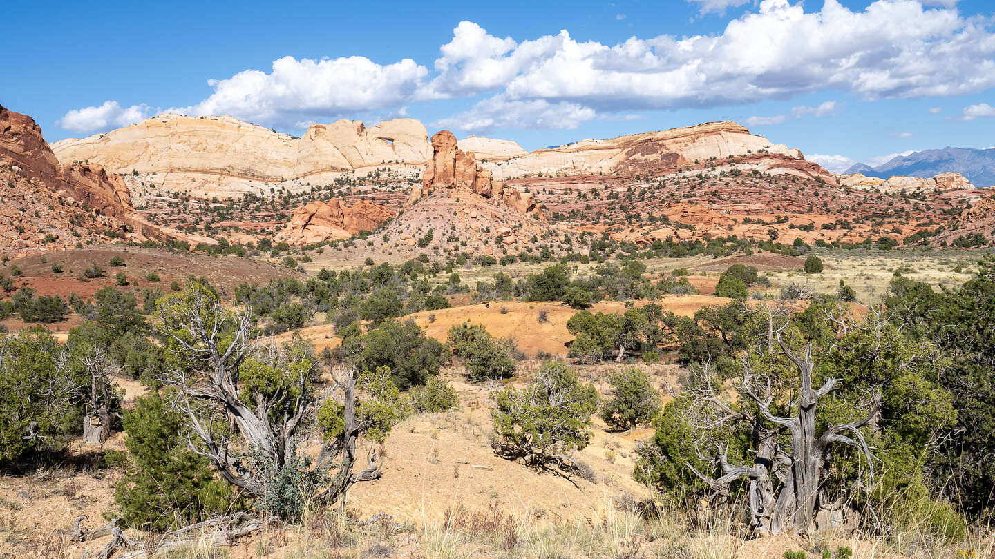 Along the Burr Trail