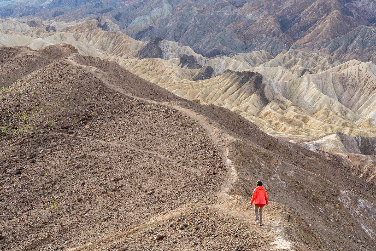 Setting out on the Zabriskie Ridge Trail