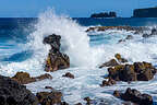 The Waves of Ke’anae Peninsula