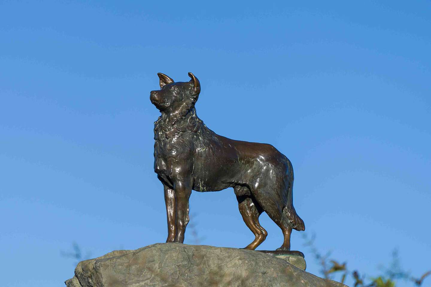 The Sheep Dog Memorial