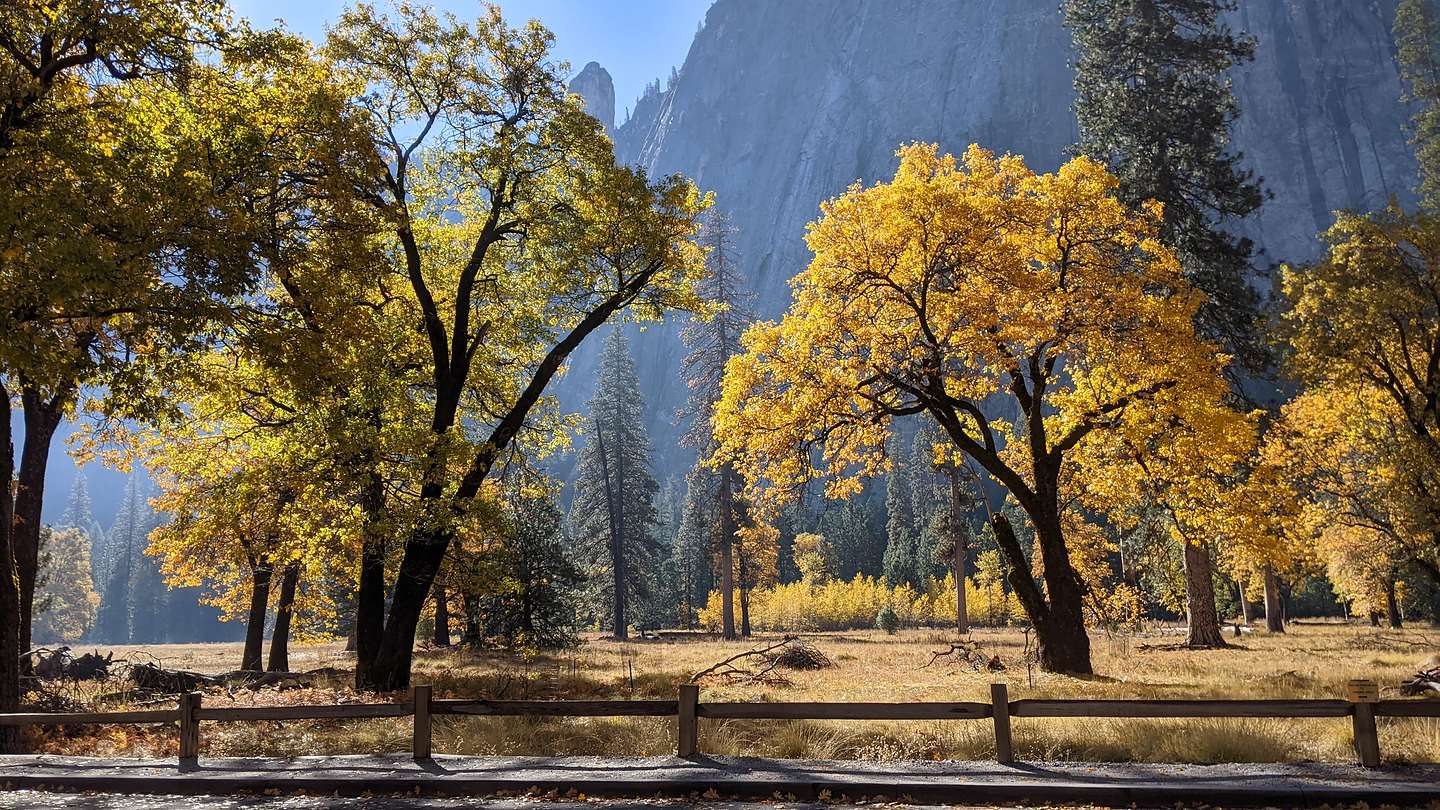 Fall foliage in El Cap Meadow