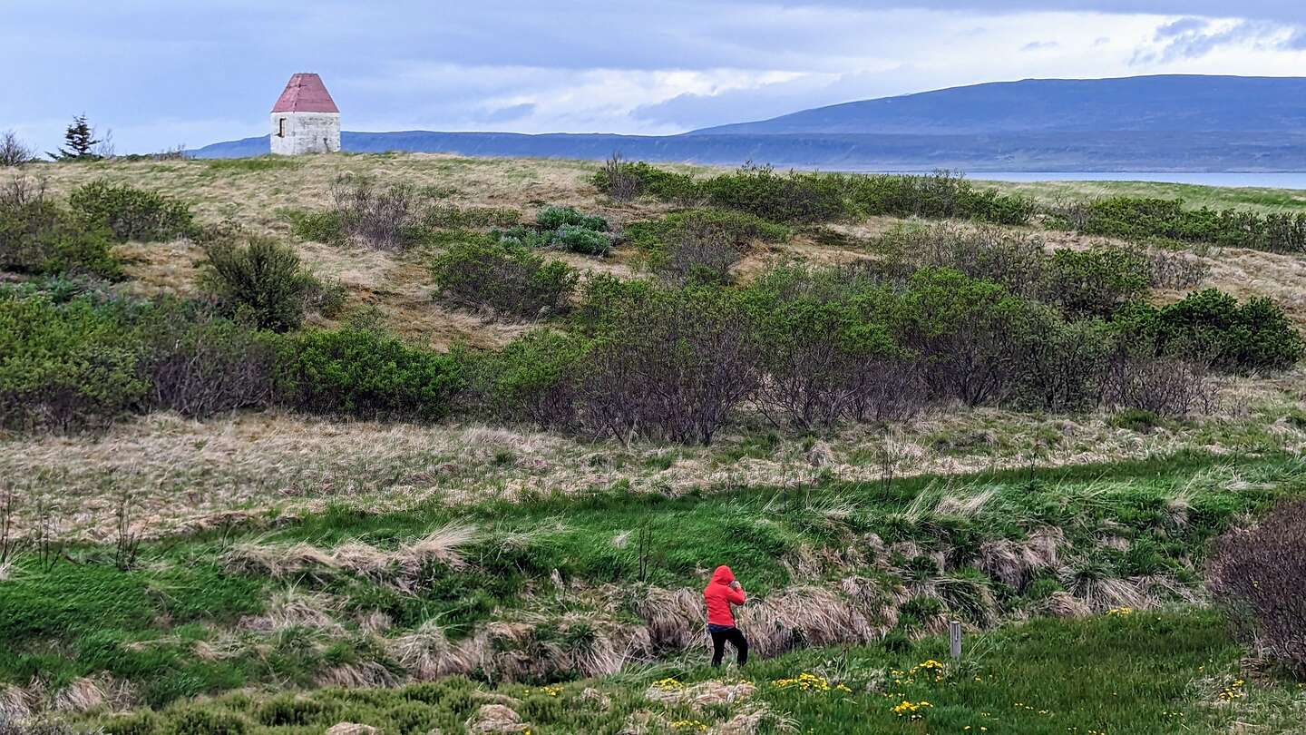 Across the heath to Hvammsfjordur