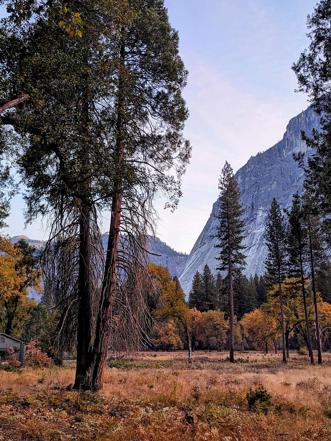 Evening walk to the Ahwahnee