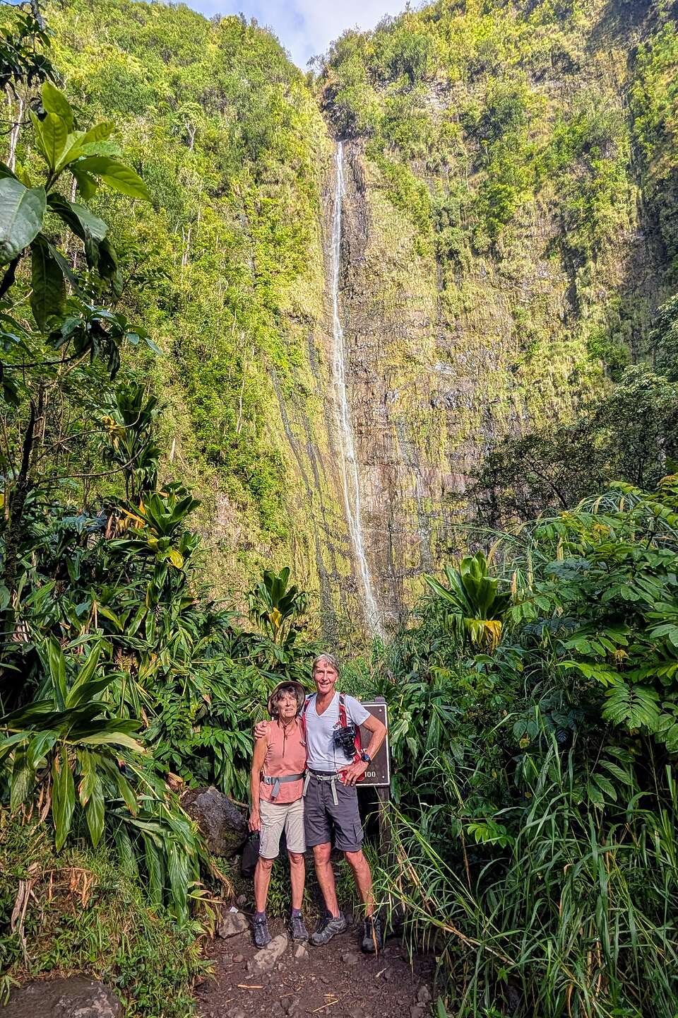 Waimoku Falls