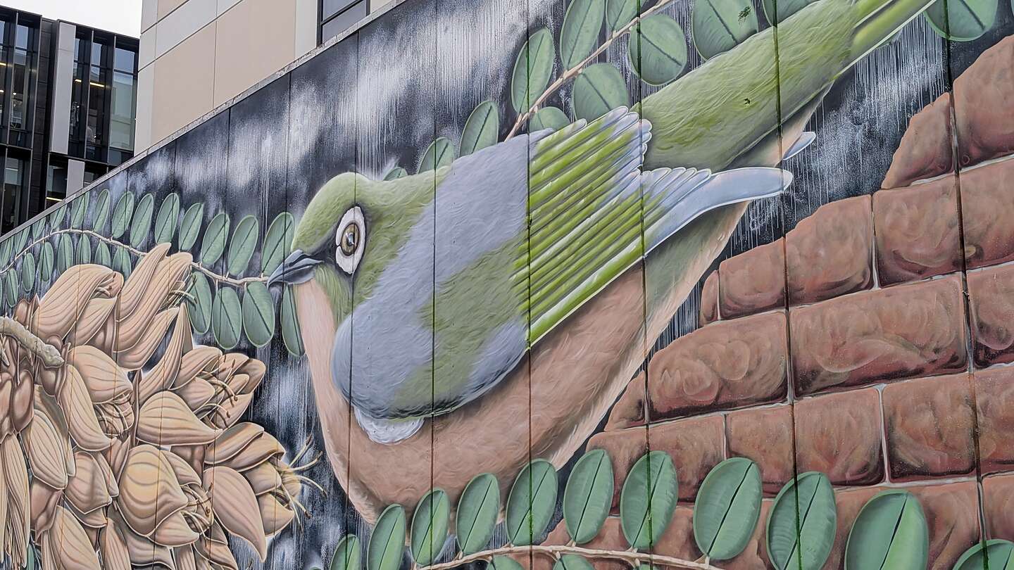 Christchurch Street Art