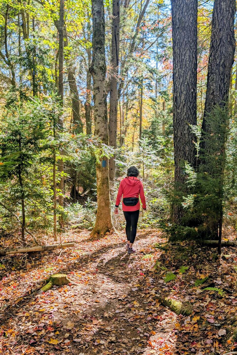 Setting off on the Mt. Olga Trail Setting off on the Mt. Olga Trail